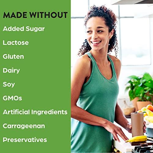 Organic Vegan Protein Powder – Plant-Based Muscle & Recovery Formula