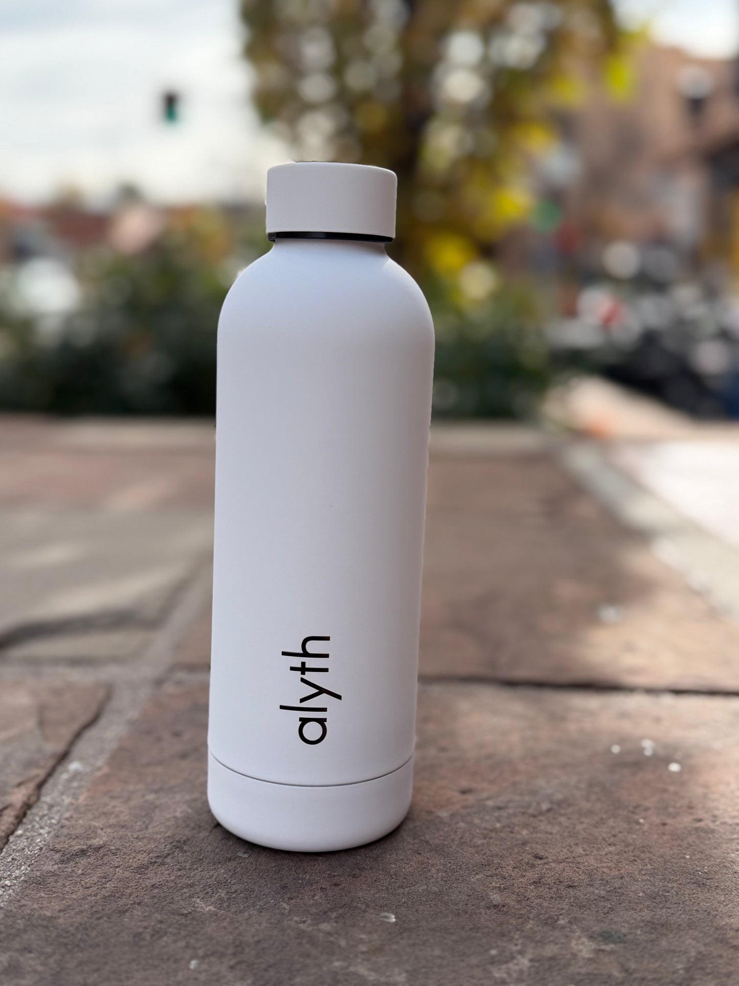 Alyth 16oz Water Bottle