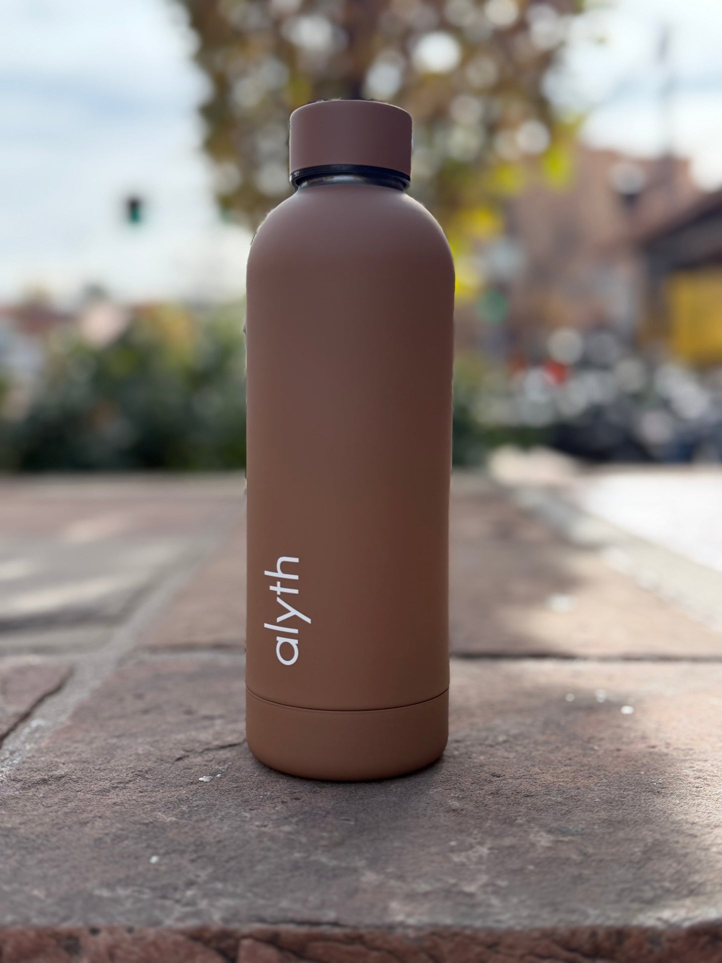 Alyth 16oz Water Bottle