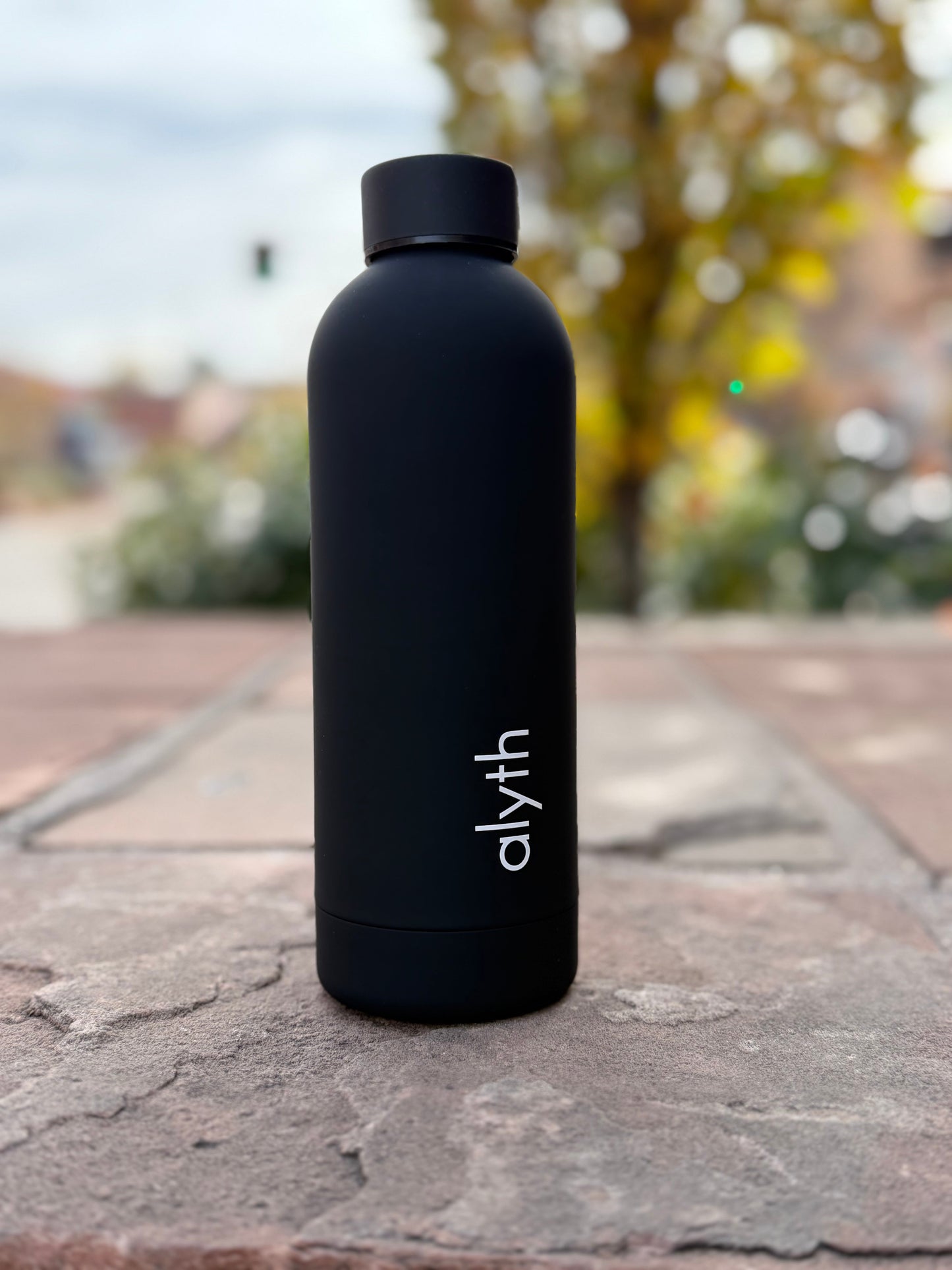 Alyth 16oz Water Bottle