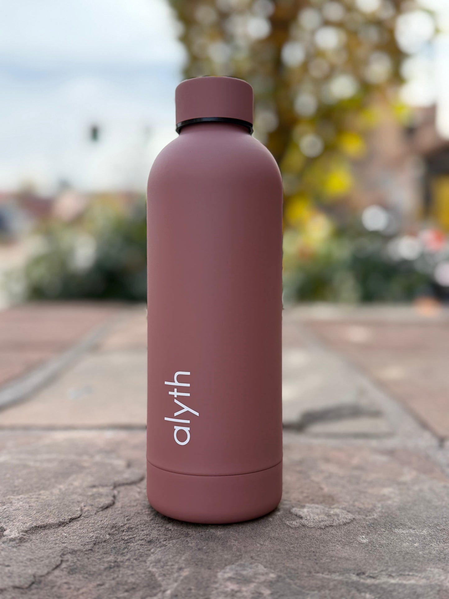 Alyth 16oz Water Bottle