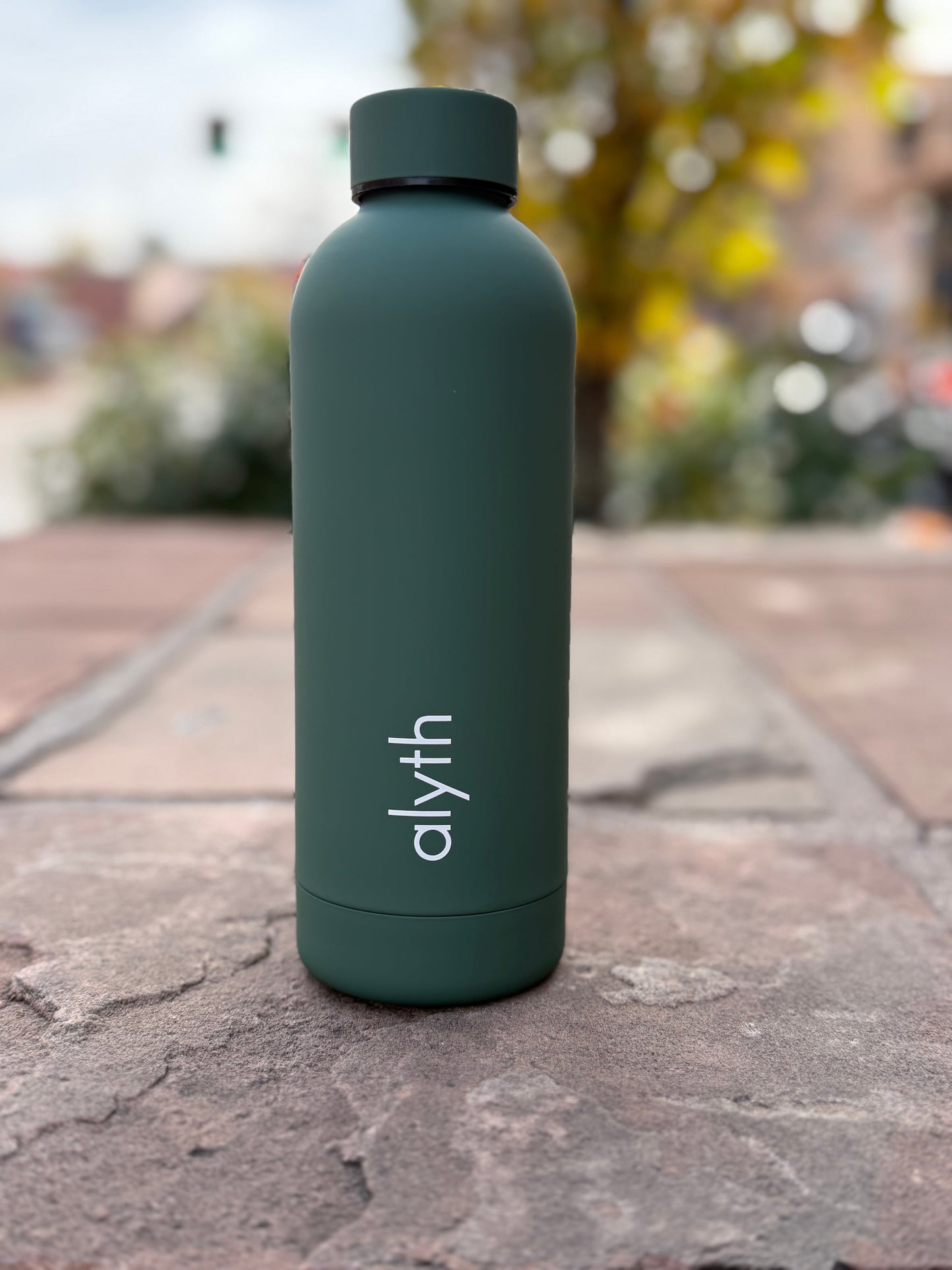 Alyth 16oz Water Bottle