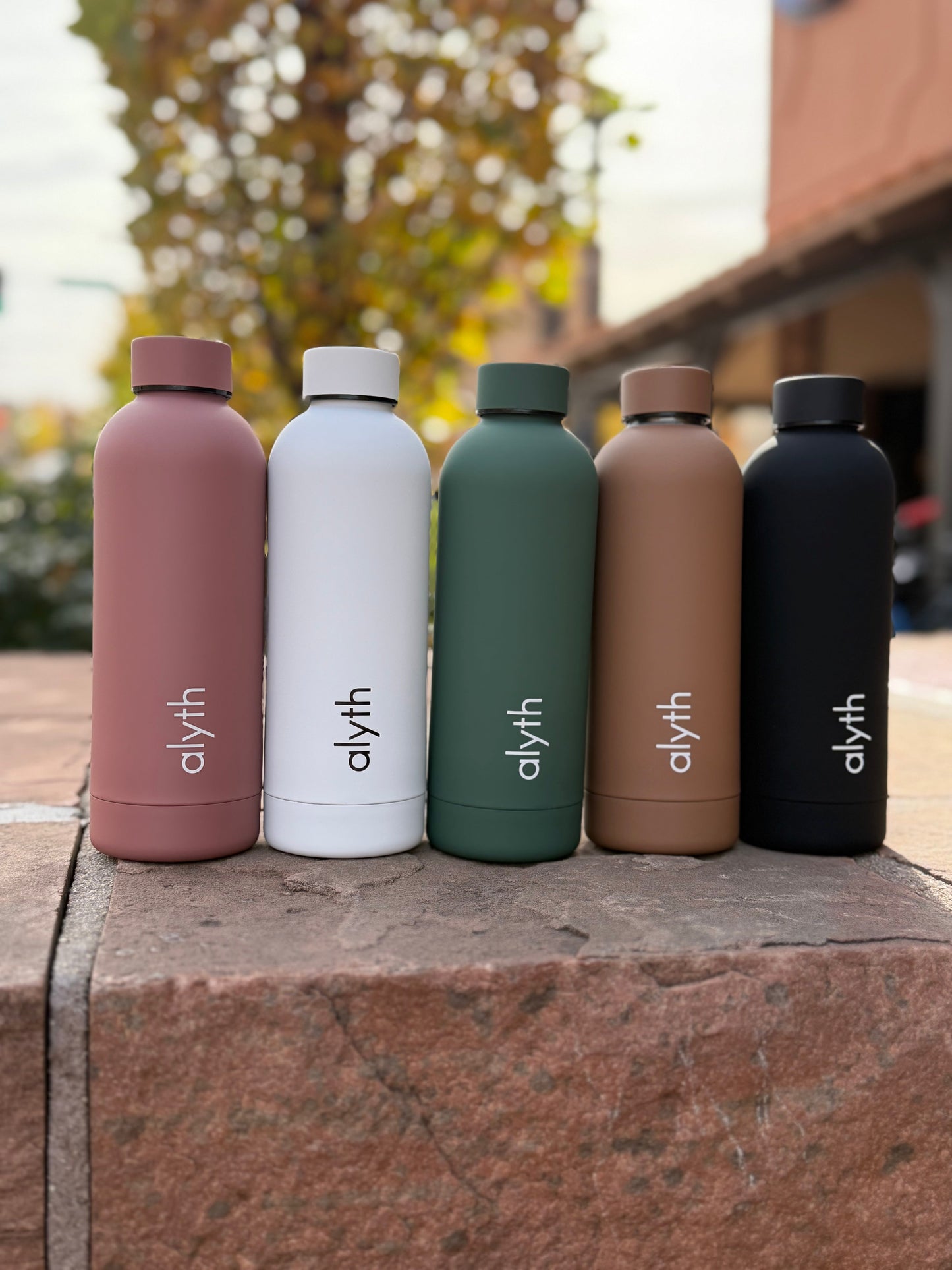 Alyth 16oz Water Bottle