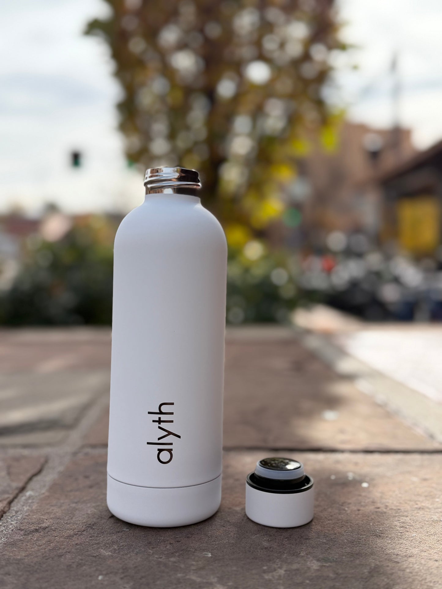 Alyth 16oz Water Bottle